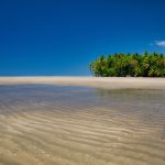 Palm Trees, Blue Skies Beach
