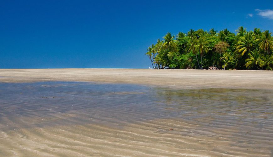 Palm Trees, Blue Skies Beach